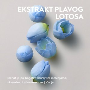 EKSTRAKT PLAVOG LOTOSA 